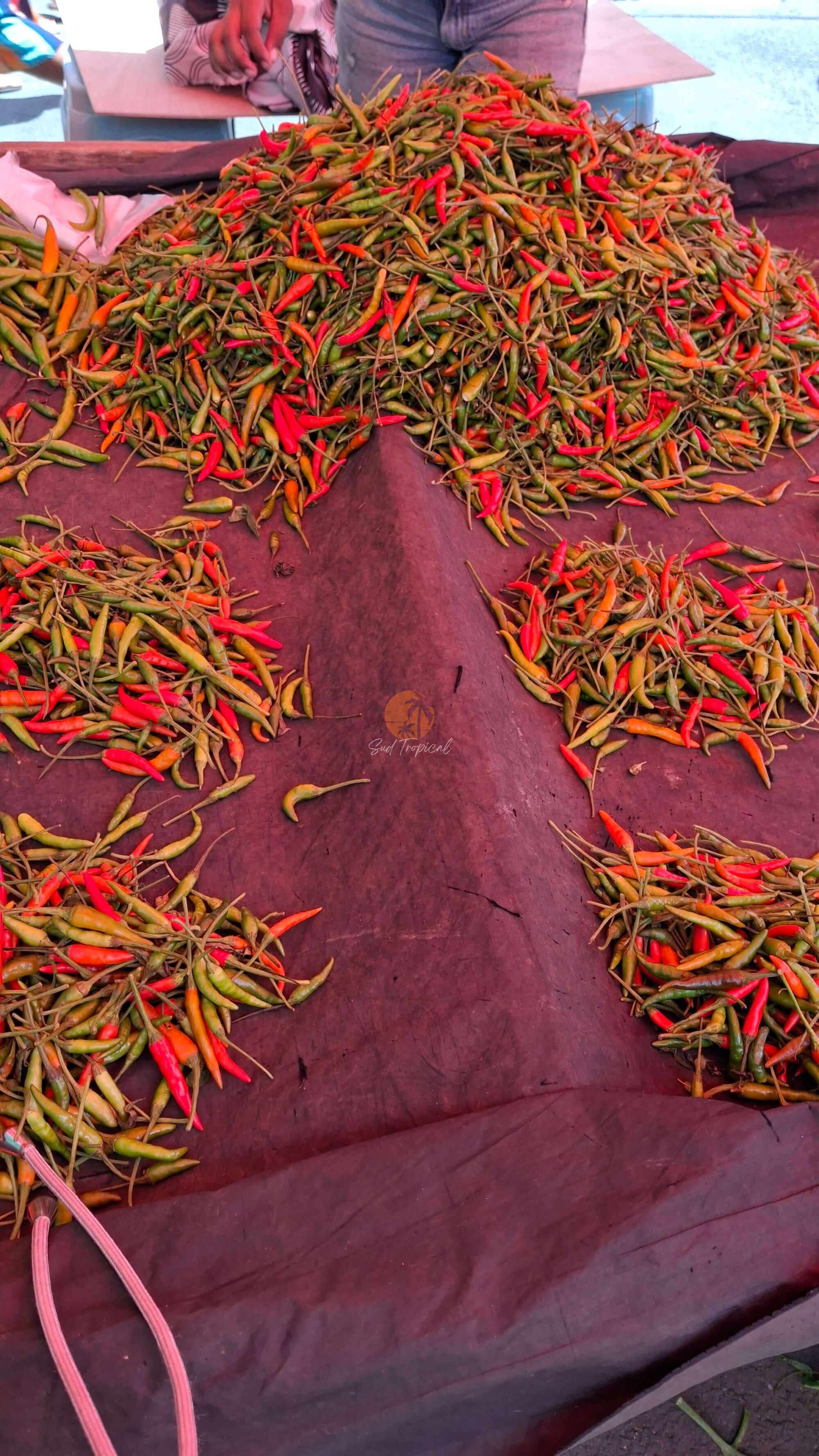 Le Fameux Piment - Maurice