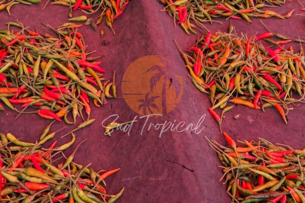 Le Fameux Piment - Maurice