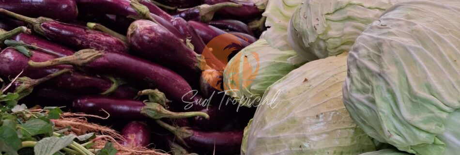 Marché de Mahébourg - Maurice
