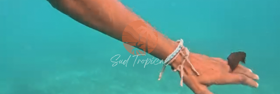 Le Lagon Mauricien Un Écosystème Unique en Péril